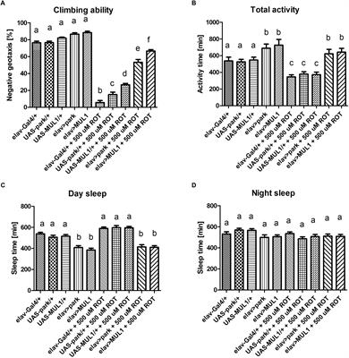 Overexpression of Mitochondrial Ligases Reverses Rotenone-Induced Effects in a Drosophila Model of Parkinson’s Disease